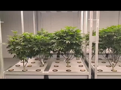 Gewächshaus-Aeroponik Hydroponik-System